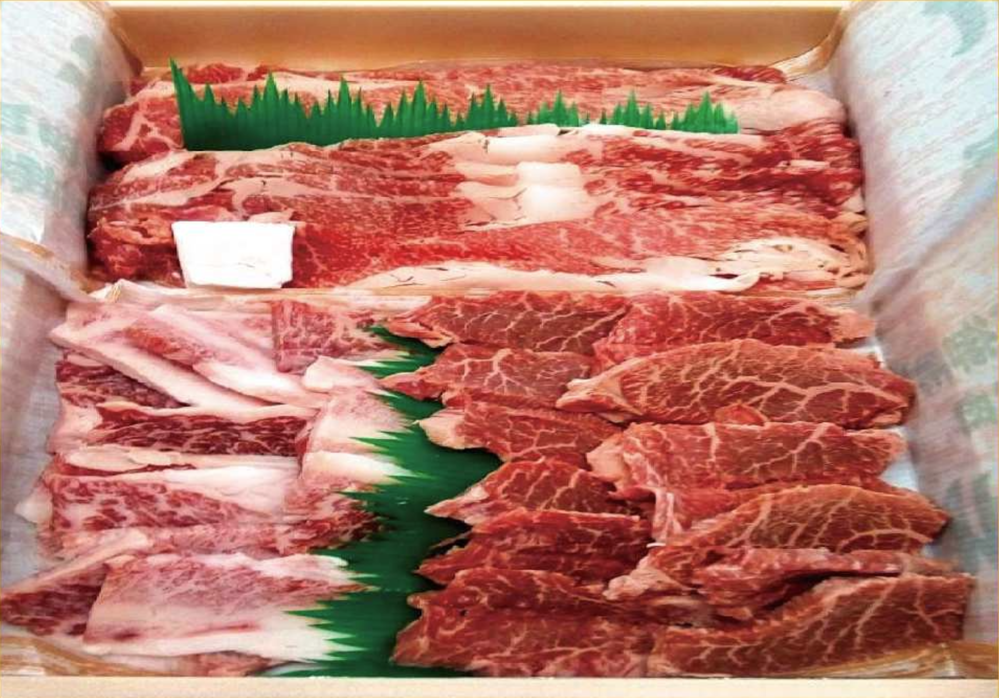 学校生協限定セット１